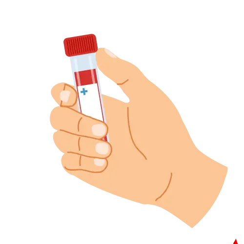 MCH Blood Test 11 Low MCH Blood Test