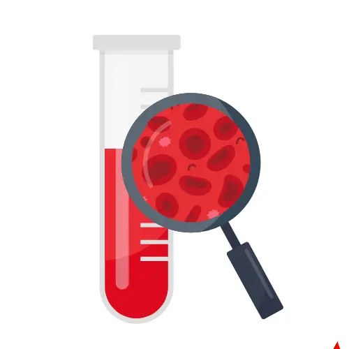 MCH Blood Test 6 MCV test