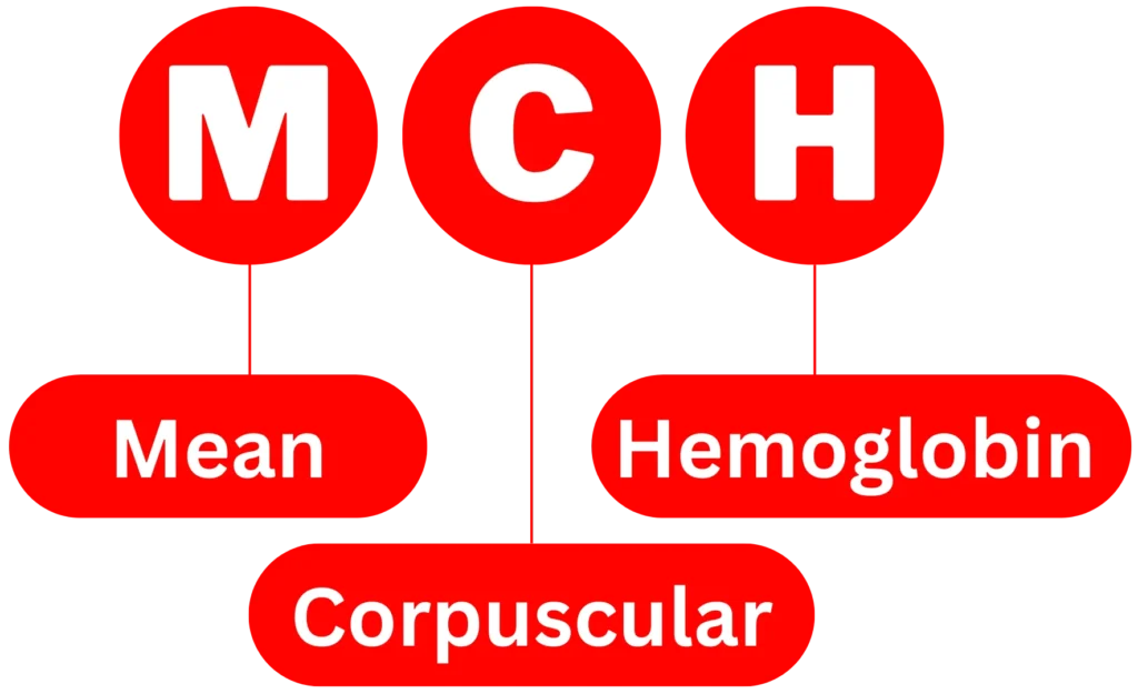 MCH Blood Test 1 Mean corpuscular hemoglobin